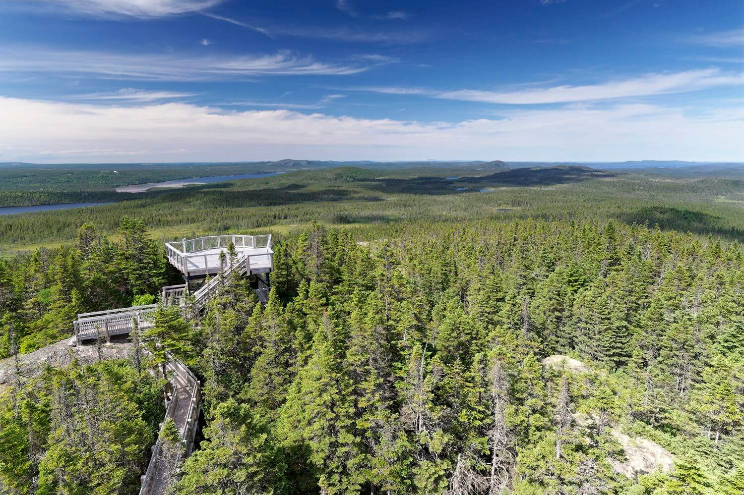 vista de Terra Nova, Canadá vista de la plataforma desde la torre de vigilancia