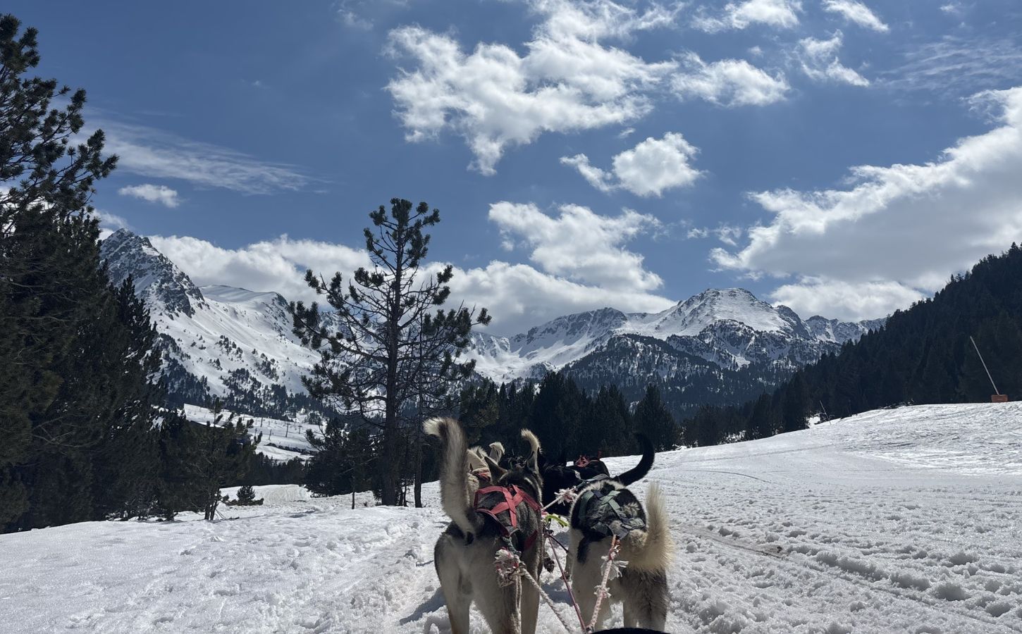 expérience unique en Andorre