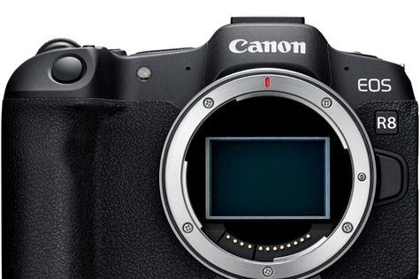 Canon R8 Vollformat Canon R8 Vollformat
