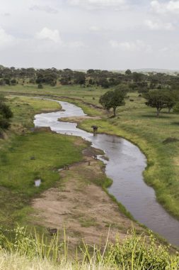 So wählen Sie Ihre Kameraausrüstung für Safari-Aufnahmen aus Kameraausrüstung Safari
