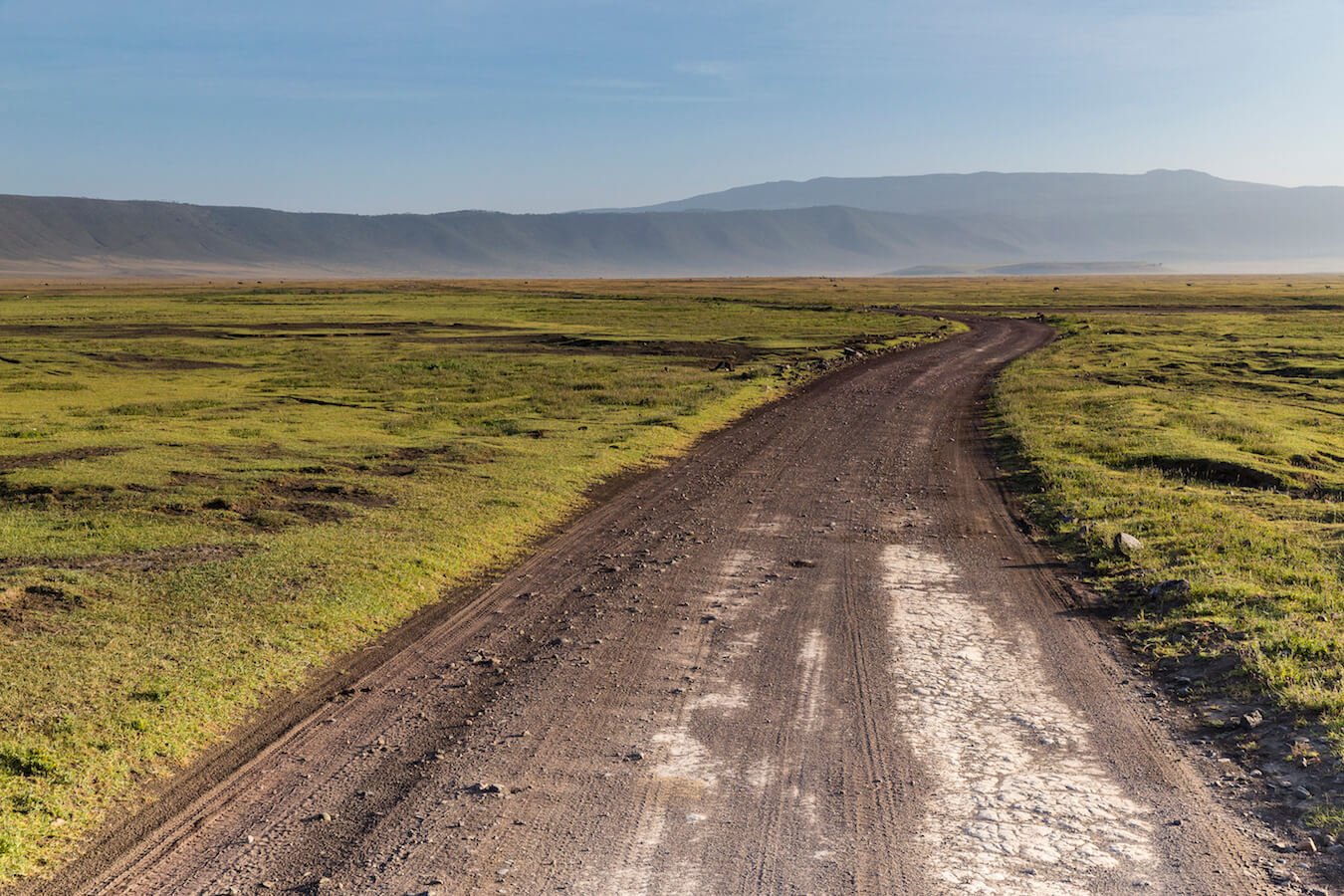 Wie du dein Objektiv für eine Safari auswählst Wähle dein Objektiv für deine Safari