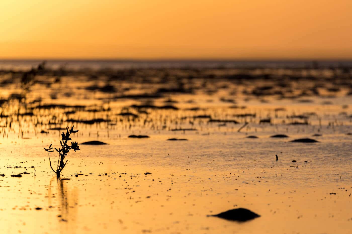 ISO in der Fotografie verstehen ISO und Fotografie