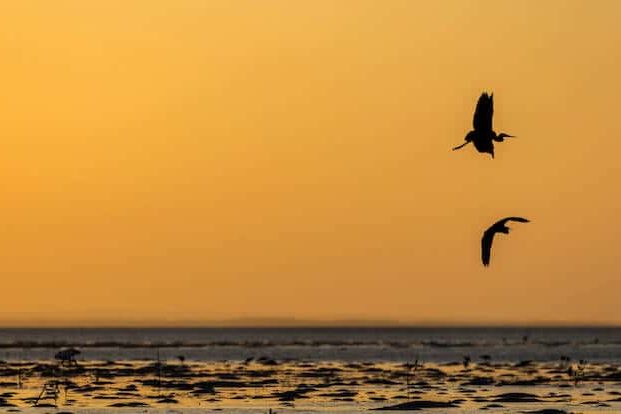 ISO in der Fotografie: So funktioniert es Wie funktioniert ISO in der Fotografie