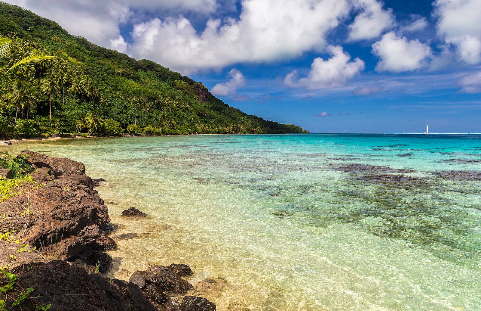 Ein Polarisationsfilter der nützlichste Kameraobjektivfilter, der Polarisationsfilter