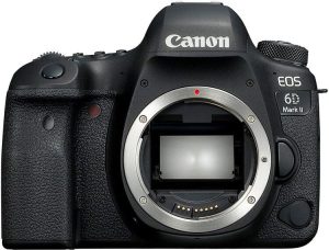 beste DSLR für dich beste DSLR