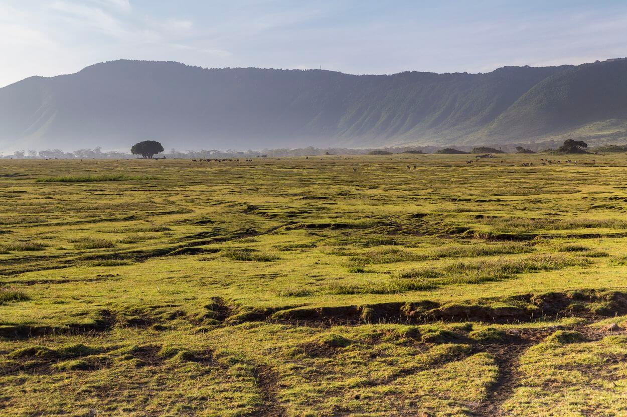 Landschaftsfotos während einer Safari Ratschläge und Tipps für ein großartiges Foto auf Safari