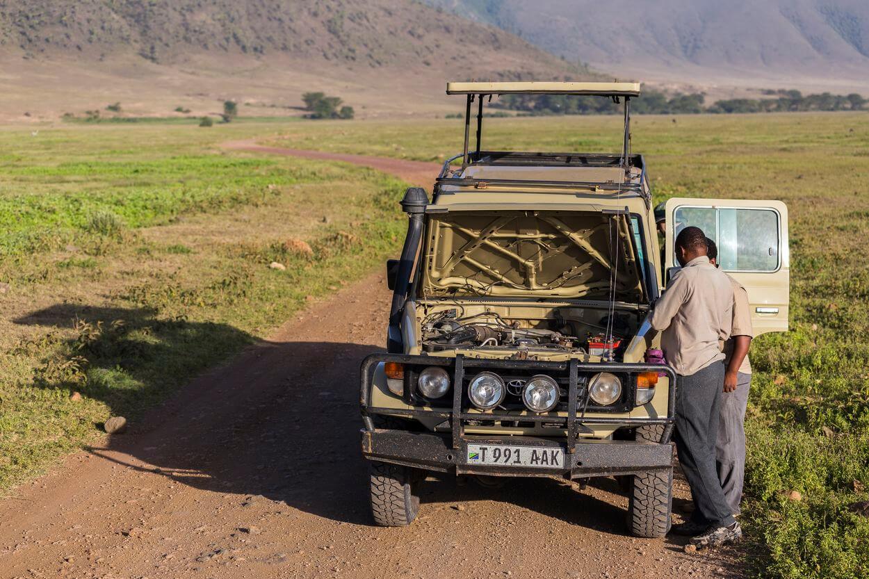 Beste Tipps für Safari Beste Tipps für Safari – tolle Fotos