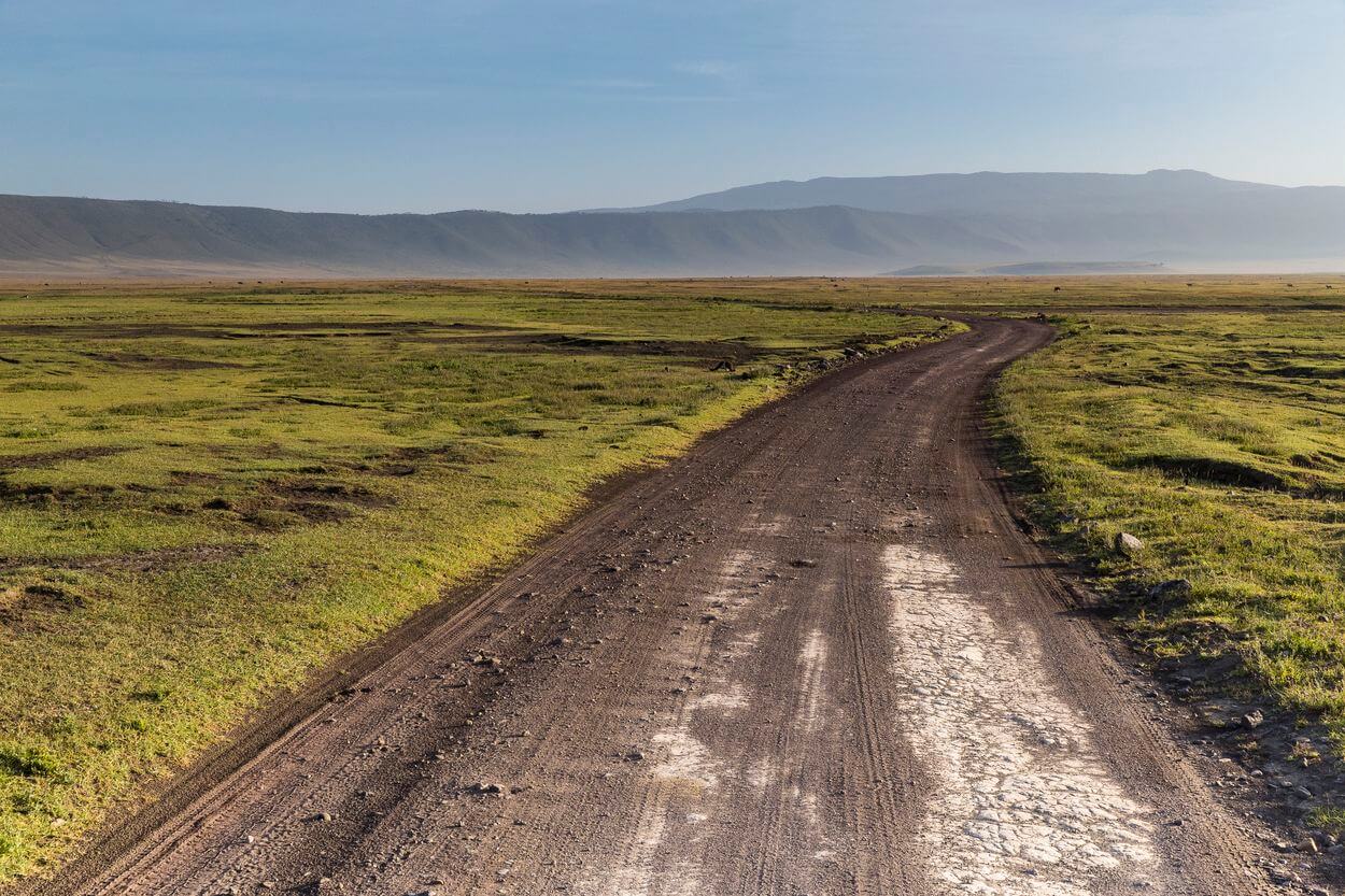 Großartige Fotos auf Safari aufnehmen Die besten Fototipps für eine Safari