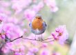 scharfe und fokussierte Bilder