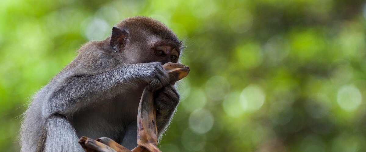 Belichtungszeit oder Verschlusszeit Belichtungszeit in der Fotografie meistern