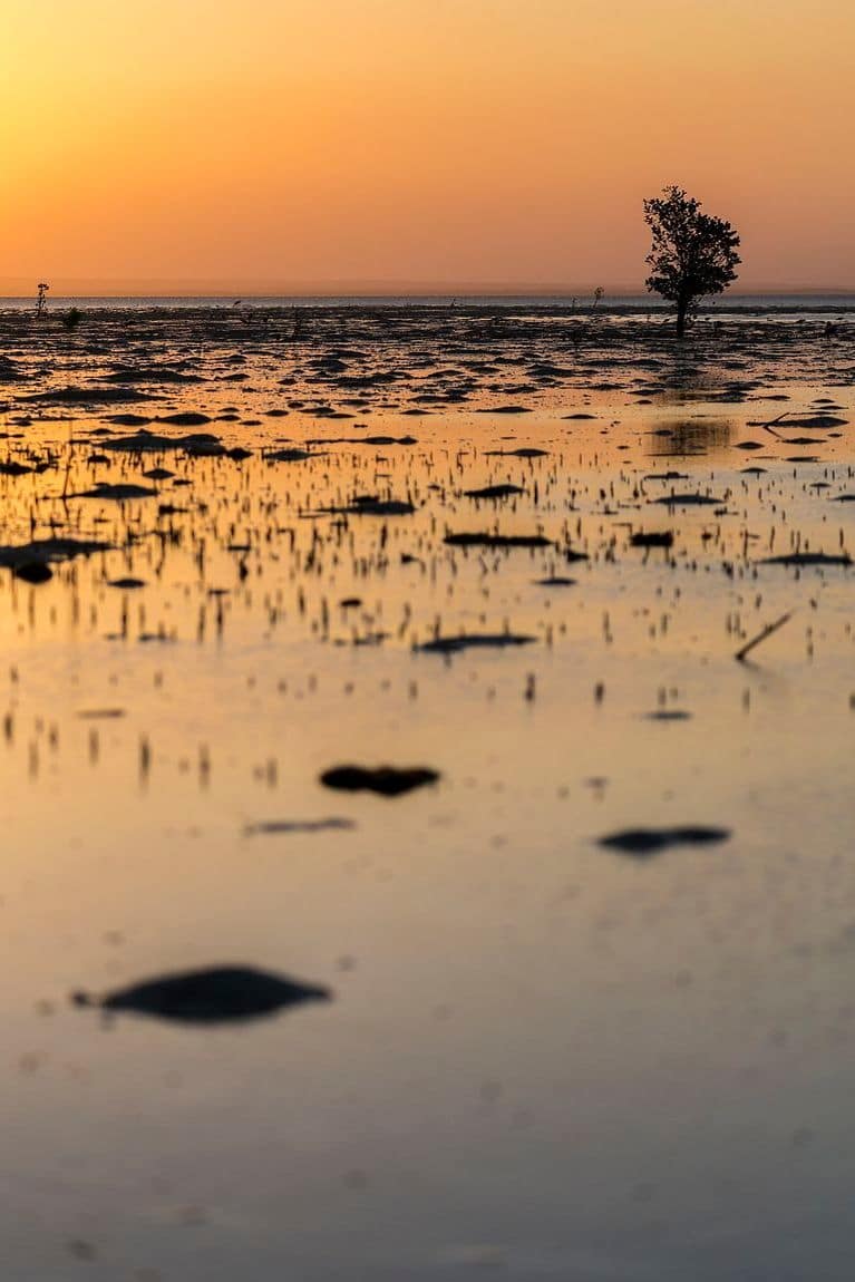 Drittelregel in der Fotografie: So funktioniert sie Wie beeinflusst die Drittelregel ein Bild