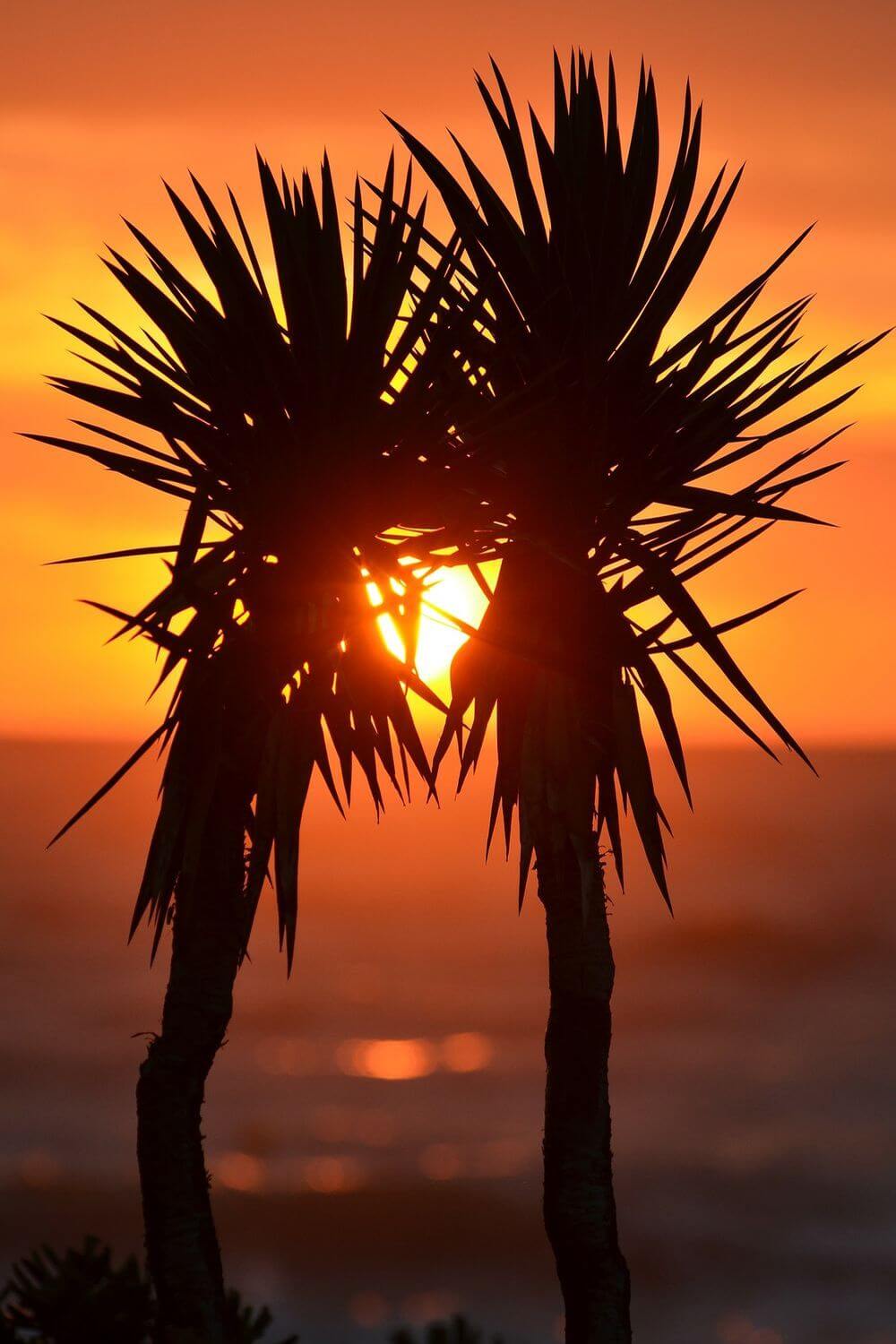 Tipps für die Sonnenuntergangsfotografie Sonnenuntergangsfotografie: beste Tipps