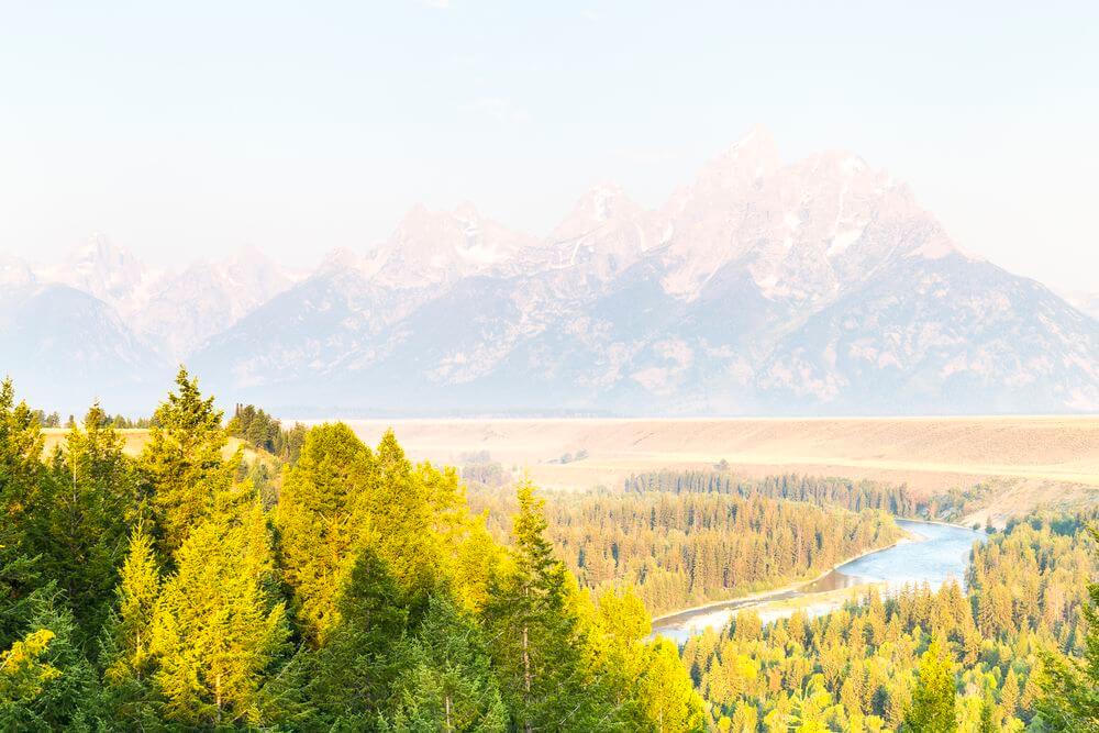 Überbelichtetes Foto und Histogramm Überbelichtetes Foto