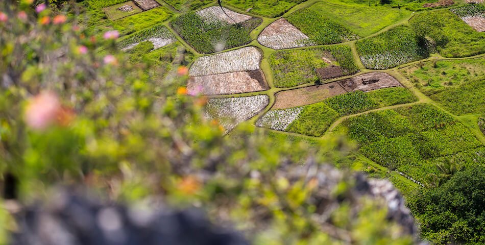 Vordergrund in der Fotografie Vordergrund in der Fotografie