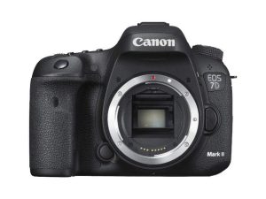 Eine DSLR für Reisen auswählen Eine DSLR zum Reisen