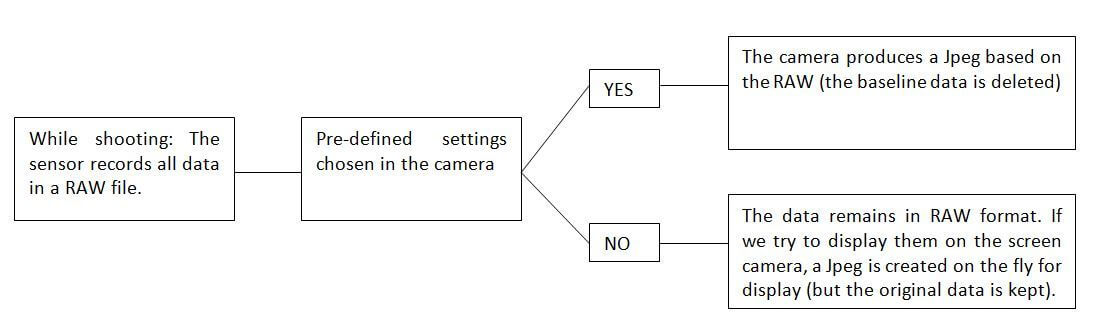 RAW, JPEG und Kameras RAW und JPEG verstehen