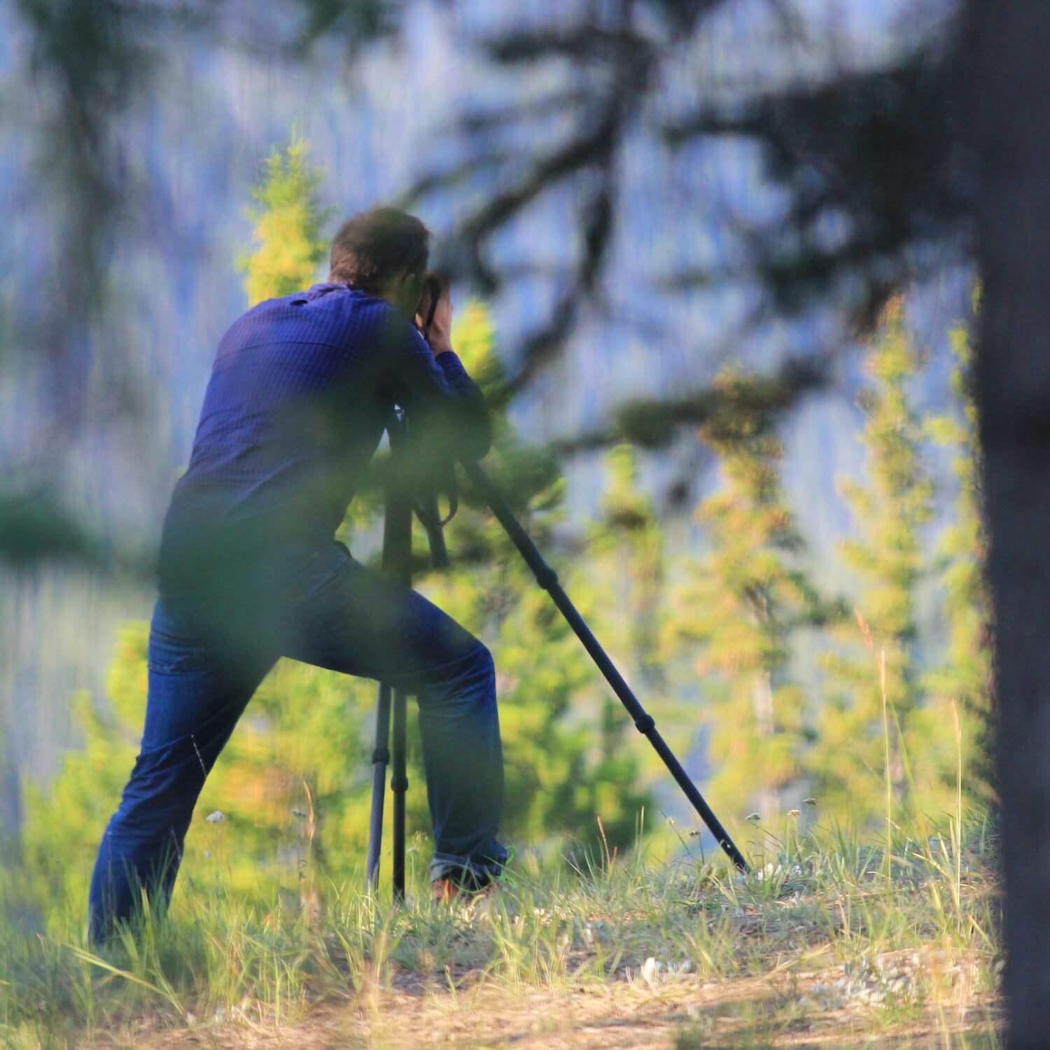 Welches Stativ wählen Ein Stativ in der Fotografie auswählen
