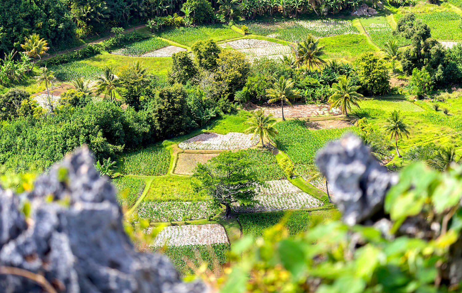 poca profundidad de campo en una foto de paisaje cómo funciona la apertura en fotografía