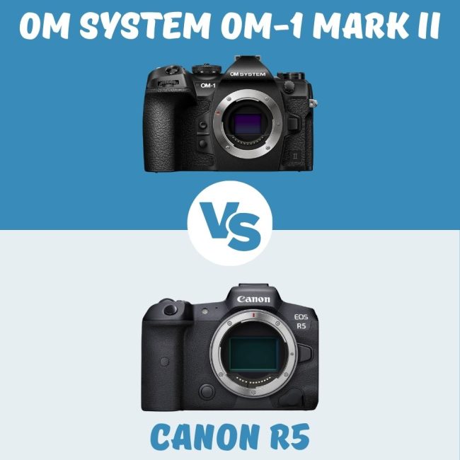 comparación entre OM SYSTEM OM-1 Mark II y Canon R5