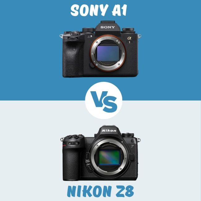 Comparación Sony A1 vs Nikon Z8