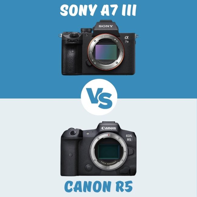 Comparación Sony A7 III vs Canon R5