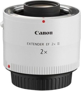 teleconvertidor Canon TC20 para fotografía de vida salvaje lentes y accesorio para fotografía de vida salvaje