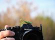 qué cámara sin espejo APS-C de Fujifilm elegir