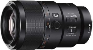 cómo elegir tu objetivo macro de Sony qué objetivo macro de Sony elegir