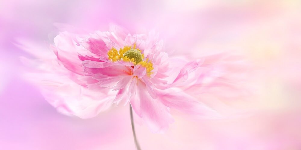 aprende y comprende la fotografía con términos términos de fotografía