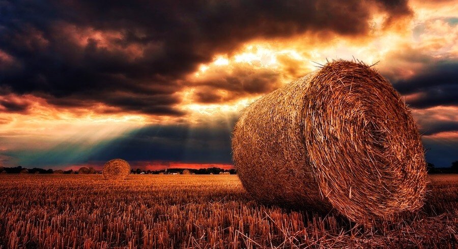 comprender la composición en fotografía regla de los tercios en la composición