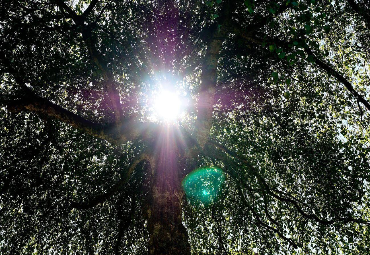 flare en la Panasonic 15mm micro 4/3 flare panasonic 15mm