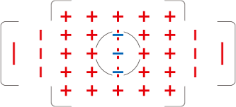 Puntos AF y enfoque ejemplo de puntos de enfoque