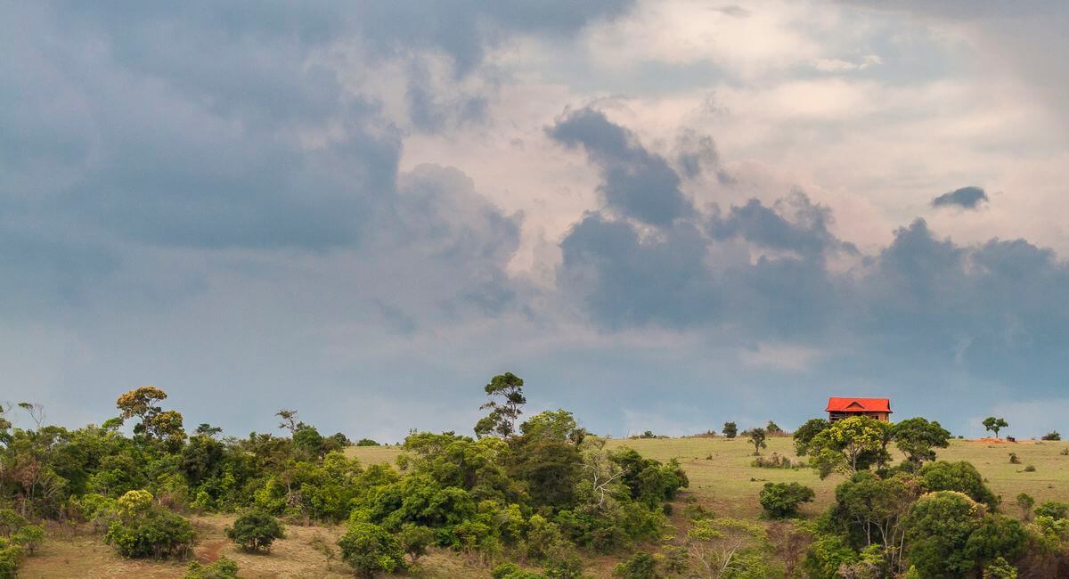cómo enfocar en fotografía cómo funciona el enfoque en fotografía