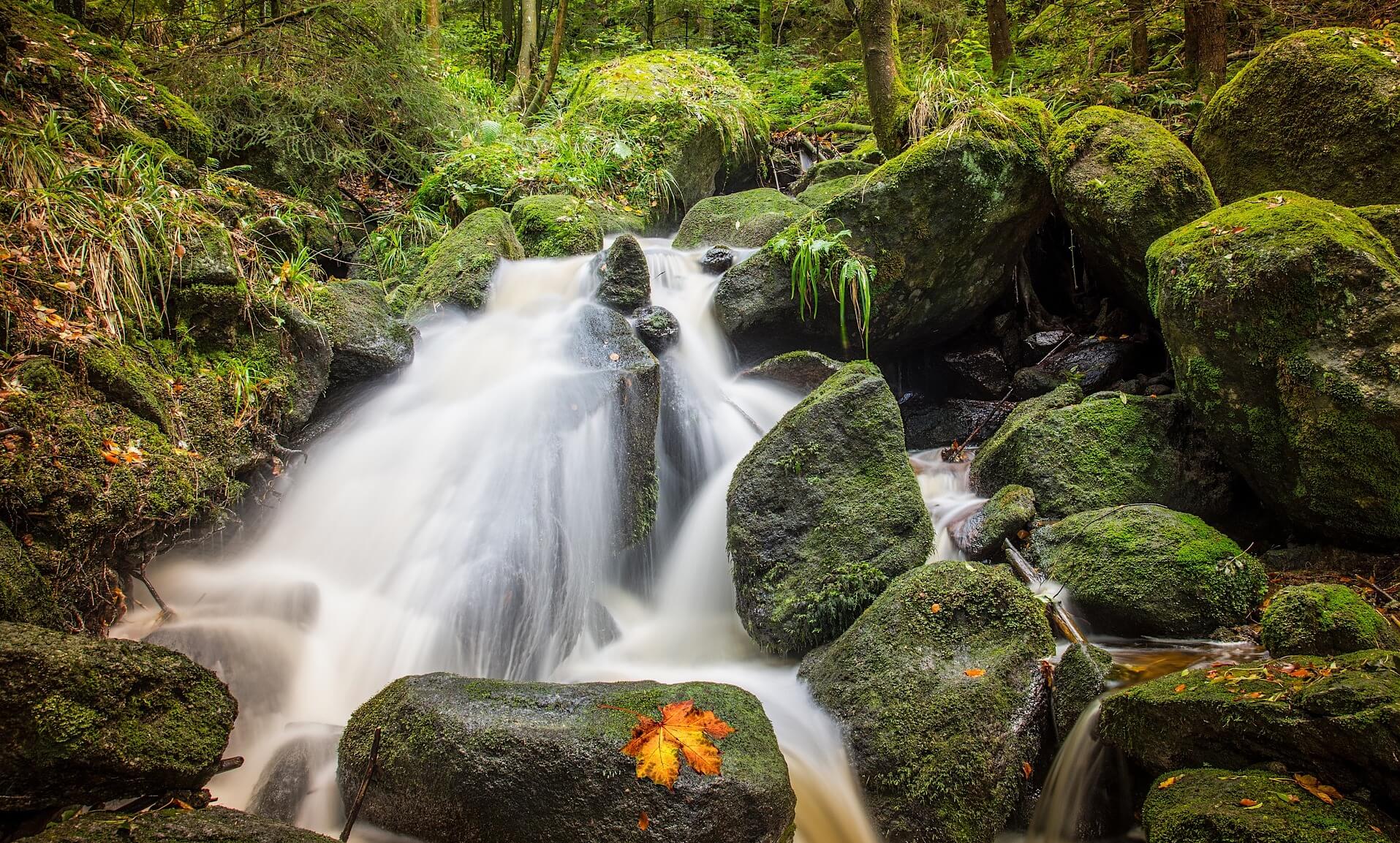 mejores consejos para fotos de cascadas imágenes de cascadas en el bosque