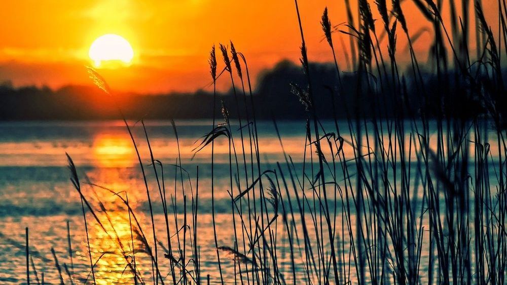 fotografiar un atardecer fotografía de atardecer y bokeh