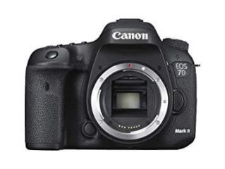 Puntos de enfoque de la 7D Mark II Puntos AF de la 7D Mark II