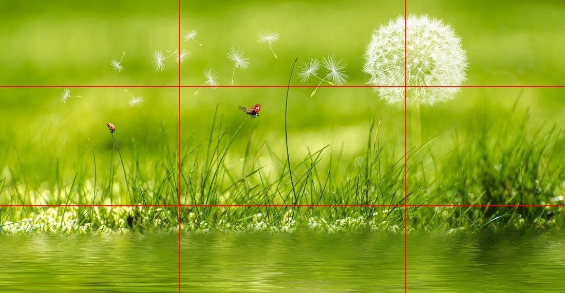 cómo se usa la regla de los tercios en fotografía cómo se usa la regla de los tercios