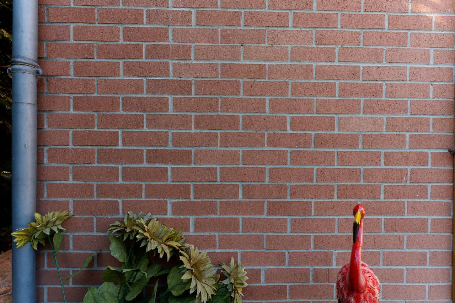 Escena de prueba para el Sony 20 mm f/1.8 FE Escena de prueba para el Sony 20 mm f/1.8 FE
