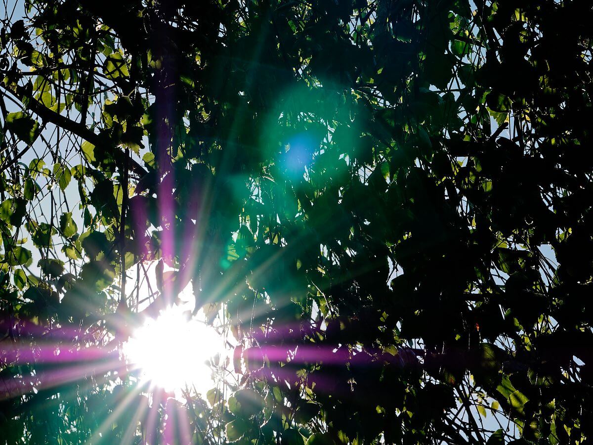 probando el flare panasonic 42,5mm f1.7 probando el flare Panasonic 42.5mm f/1.7 OIS
