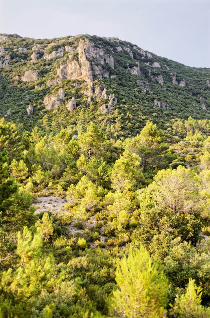 vista del circo de Mourèze montaña en el circo de Mourèze
